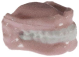 Dollhouse Miniature False Teeth